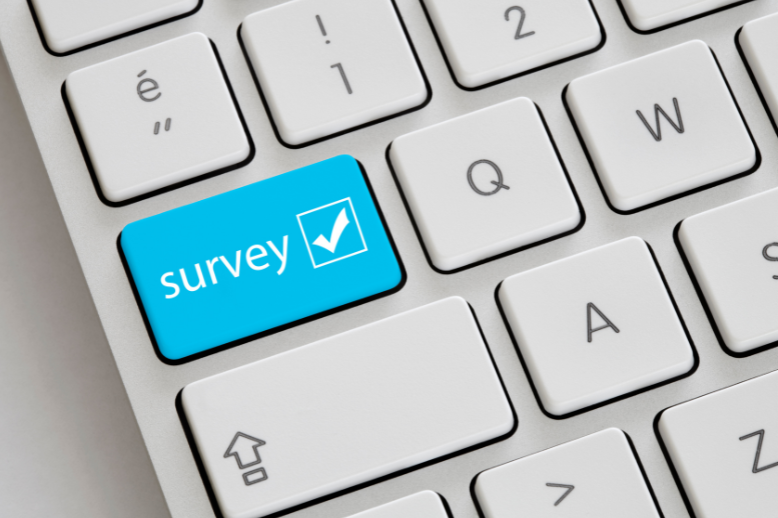 Screenshot of IT Salary Survey project